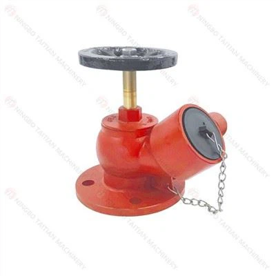 2.5''Flanged Oblique Landing Valve